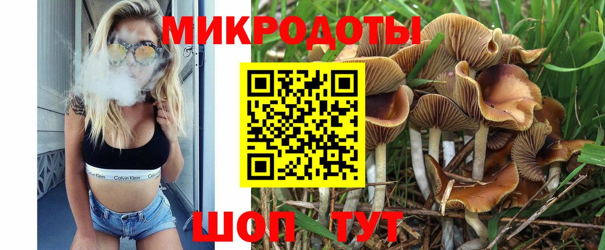 Галлюциногенные грибы Psilocybine cubensis Арсеньев